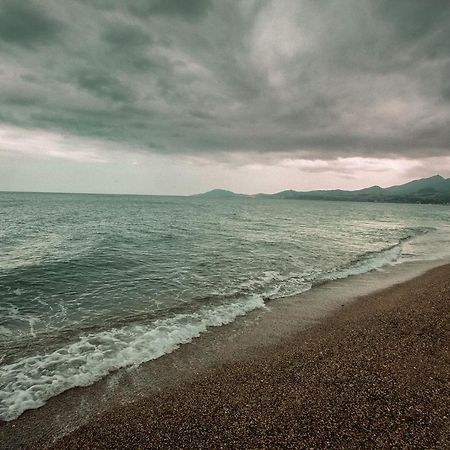 Appartement T2 Les Pieds Dans L'Eau A أرجيليه- سور- مير المظهر الخارجي الصورة