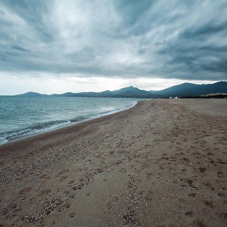 Appartement T2 Les Pieds Dans L'Eau A أرجيليه- سور- مير المظهر الخارجي الصورة