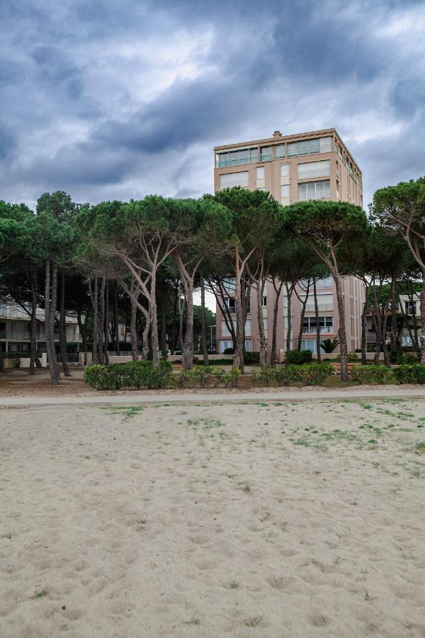 Appartement T2 Les Pieds Dans L'Eau A أرجيليه- سور- مير المظهر الخارجي الصورة